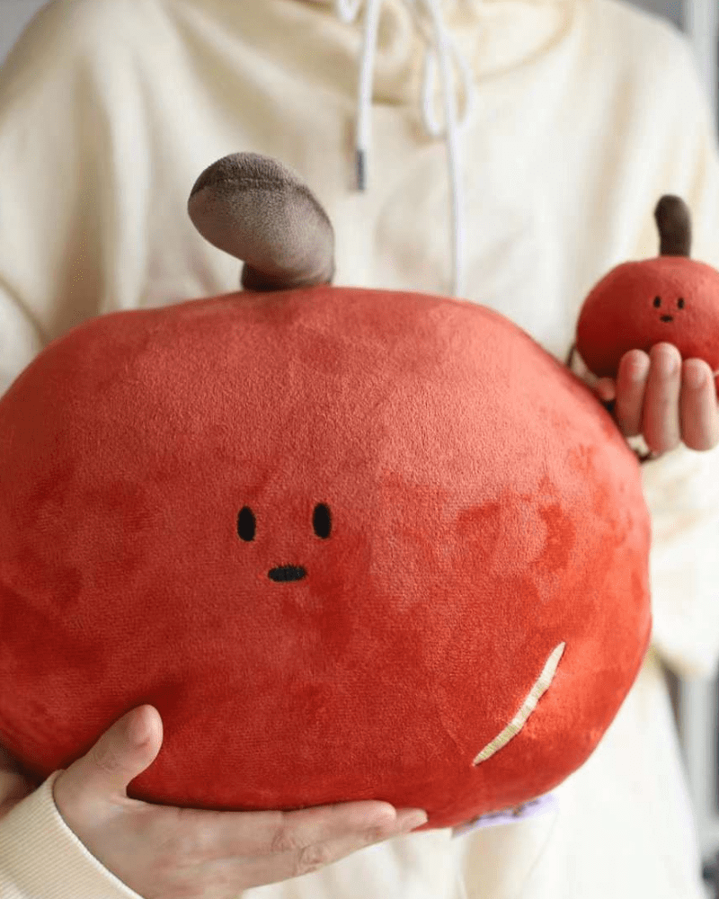 官網抱枕主圖01.png 【✨人氣商品✨】9款 放大版 手工刺繡抱枕